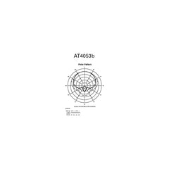 Audio-Technica AT4053B Hypercardioid Condenser Microphone