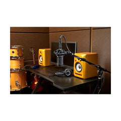 Audio-Technica AT2050 Multi-Pattern Large-Diaphragm Condenser Microphone